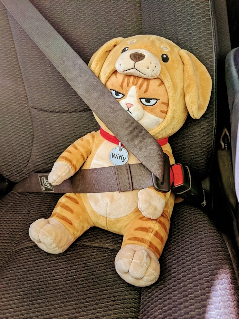Wiffy plush buckled in for a ride
